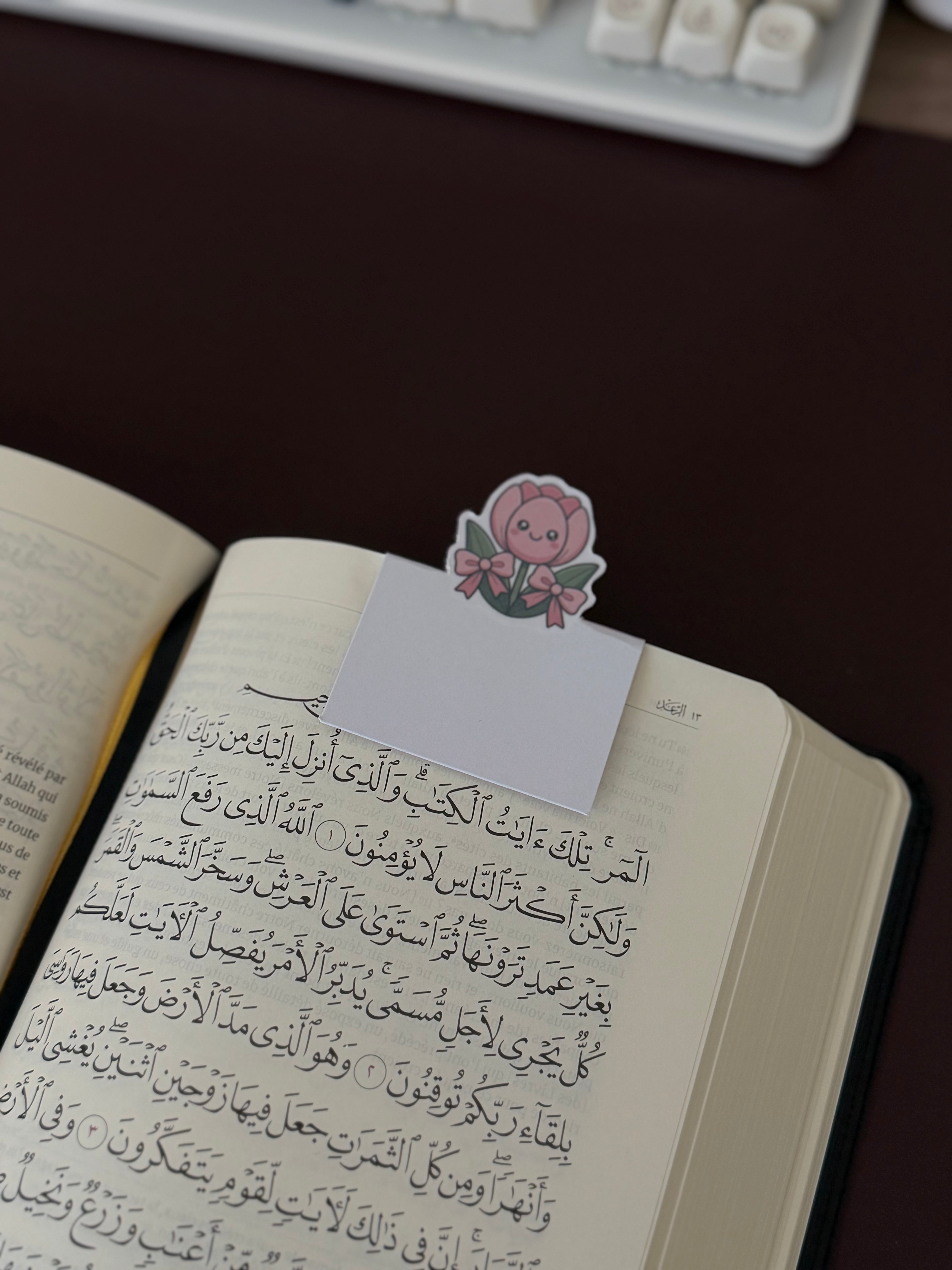 Marque-pages magnétique tulipe