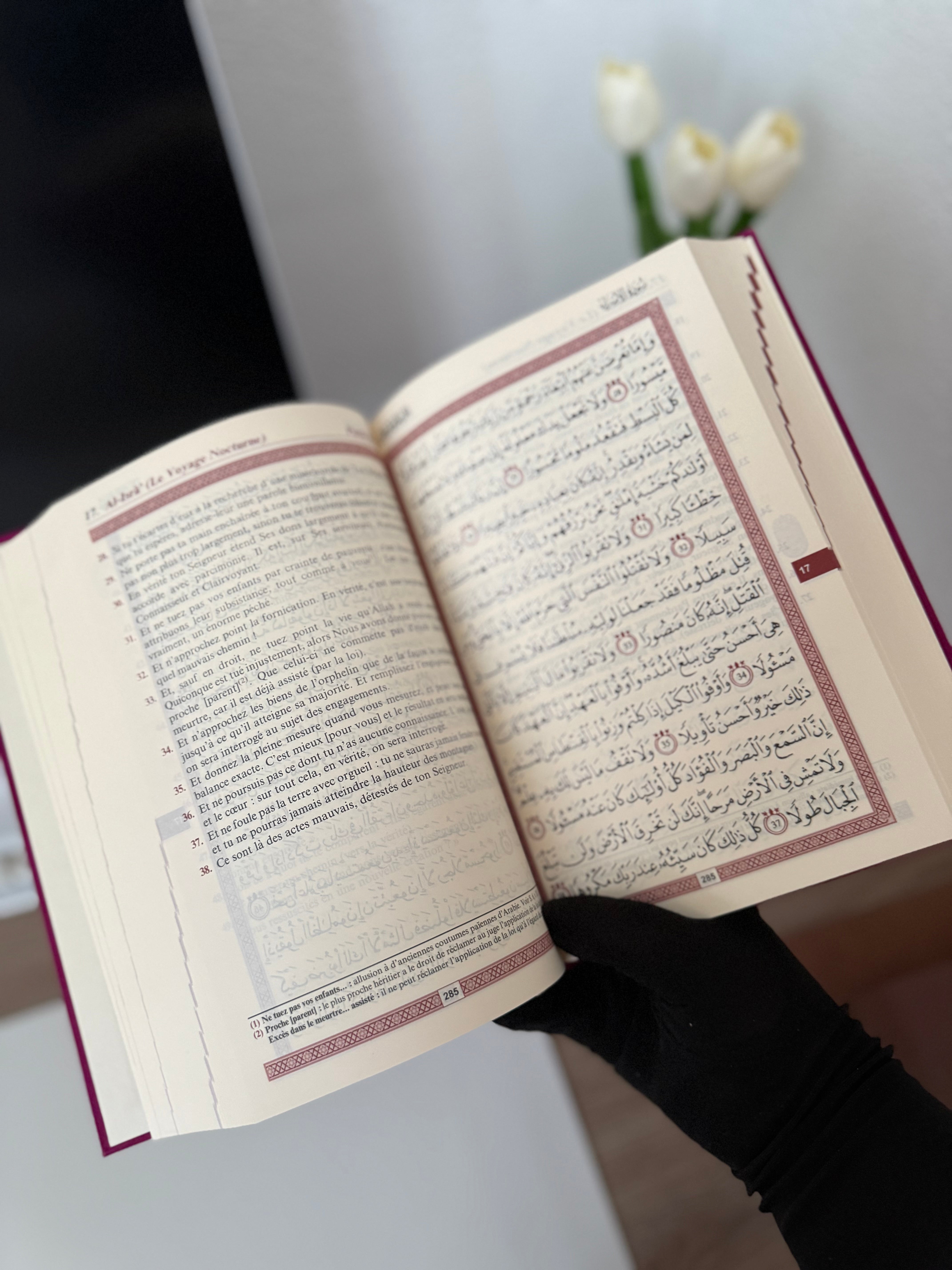 Le Noble Coran et la traduction en langue française de ses sens (bilingue français/arabe) - Edition de luxe couverture cartonnée en daim couleur Fuchsia dorée