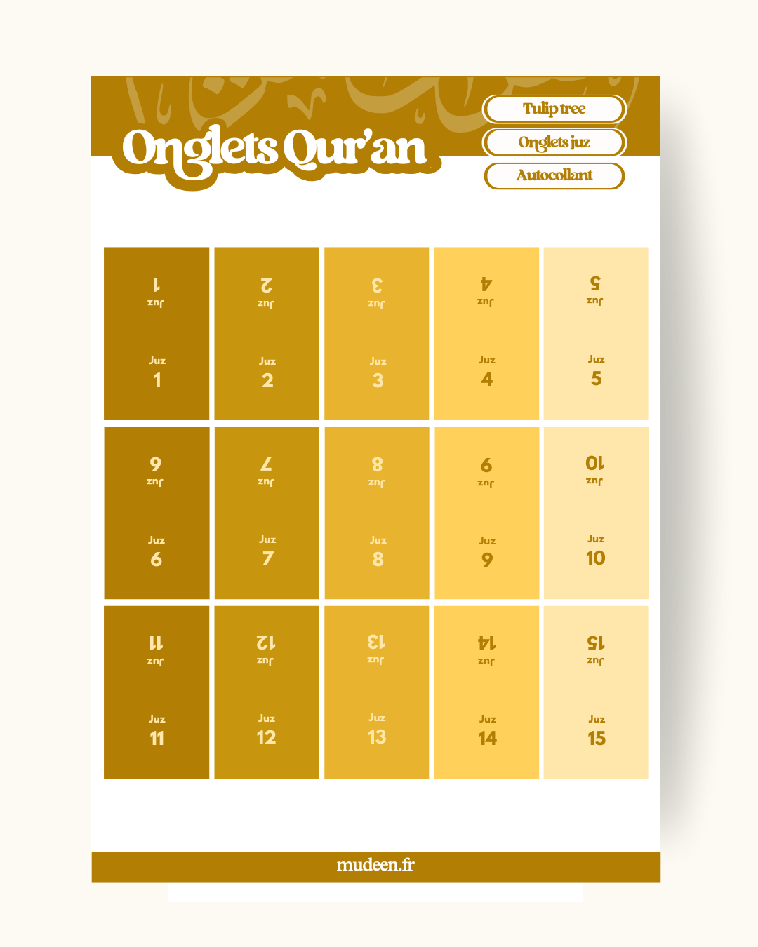 Onglets Juz tulip tree