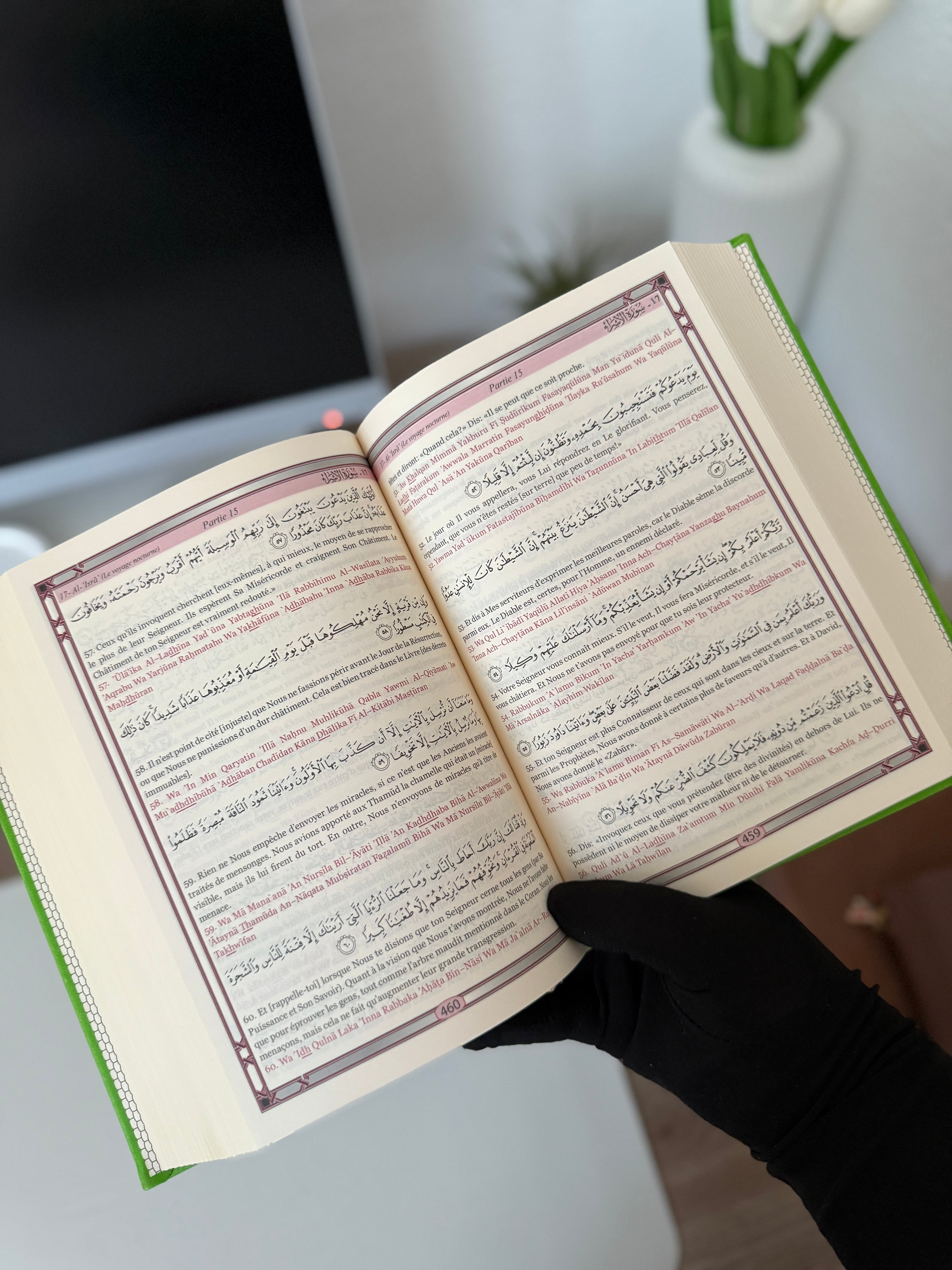 Le Saint Coran - Transcription phonétique (de l'arabe) et Traduction des sens en français - Edition de luxe (Couverture Cuir Vert clair)