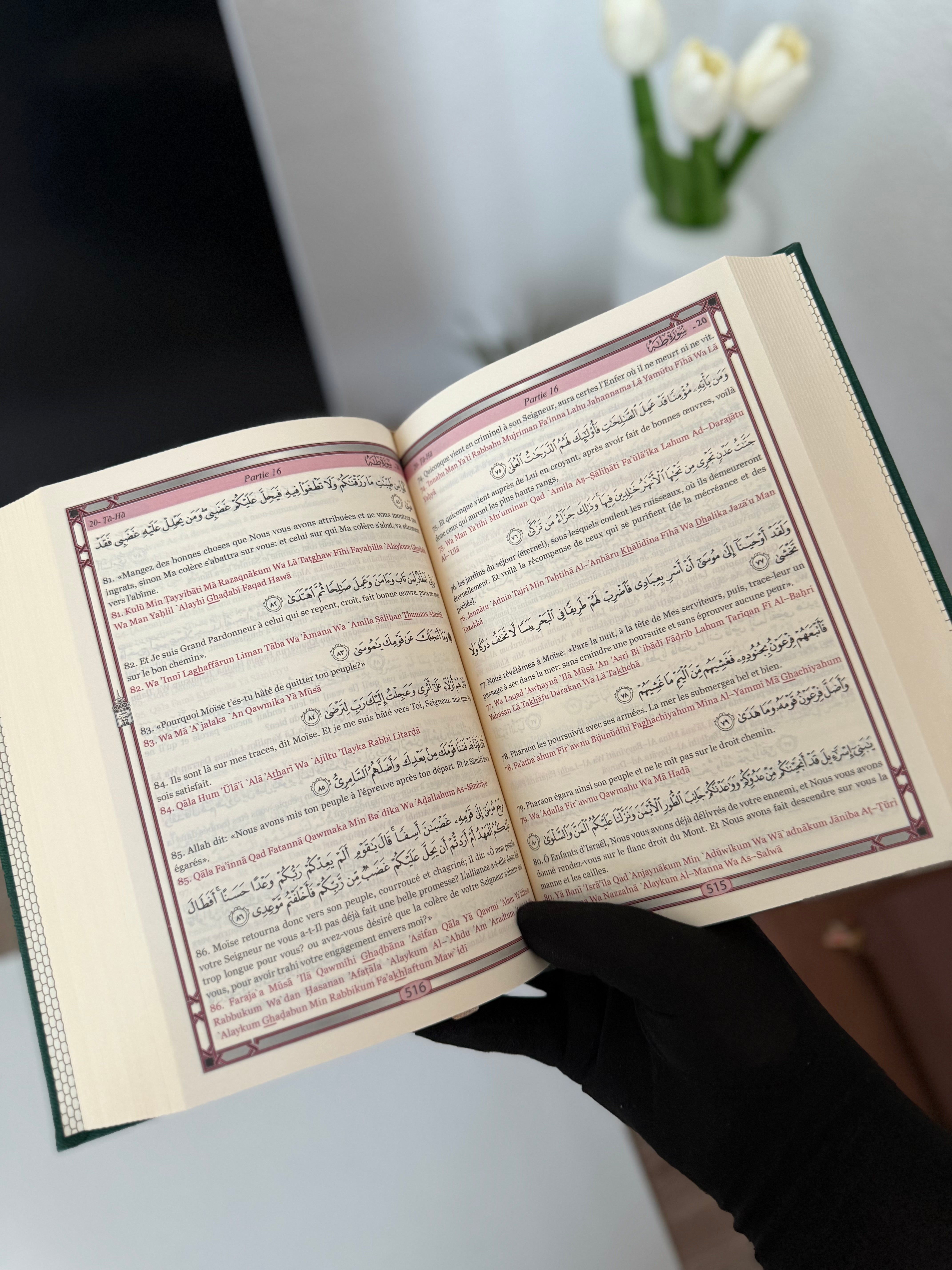 Le Saint Coran en arabe avec transcription phonétique et Traduction des sens en français - Edition de luxe (Couverture cuir de couleur Vert sapin)