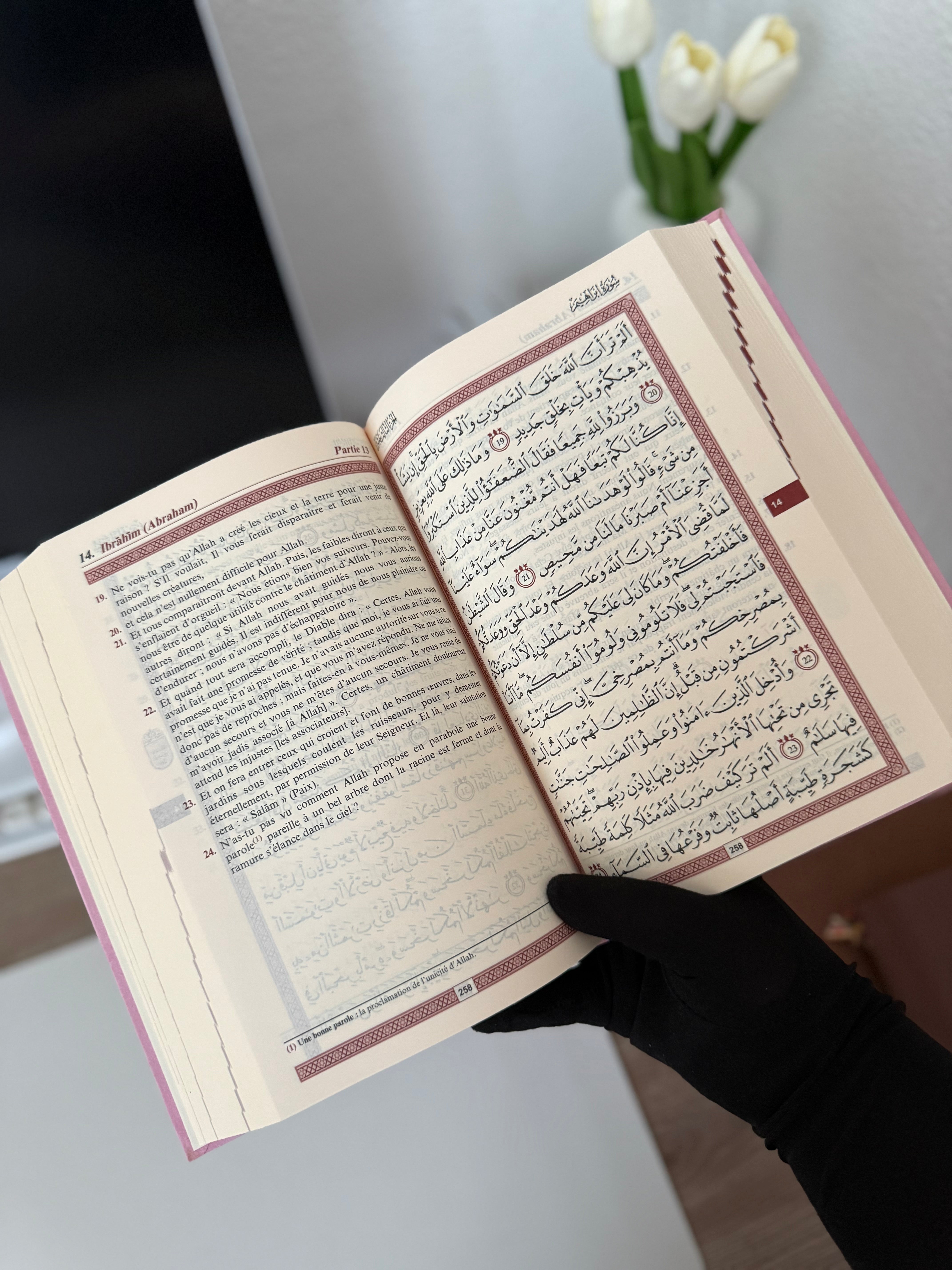 Le Noble Coran et la traduction en langue française de ses sens (bilingue français/arabe) - Edition de luxe couverture cartonnée en daim rose clair dorée avec index