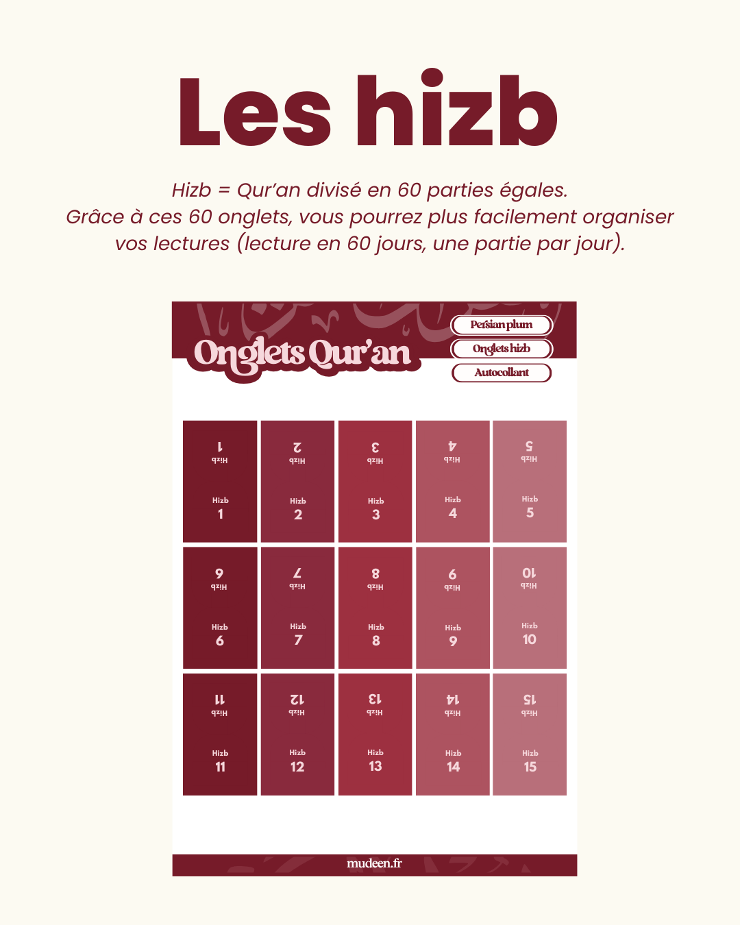 60 onglets hizb (Plastifiés premium)