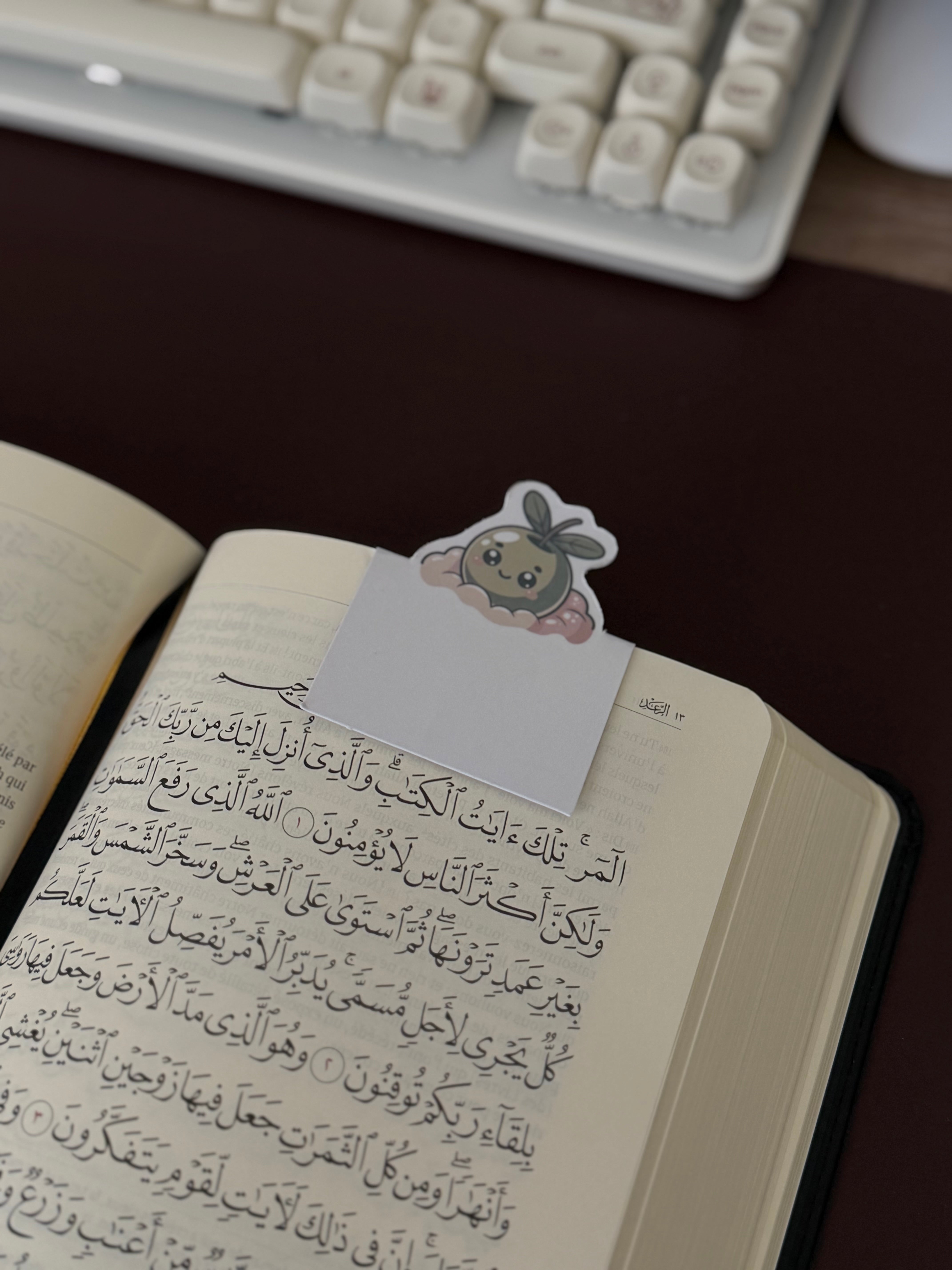 Marque-pages magnétique olive