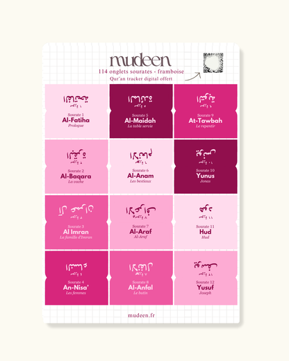 Raspberry Qur'an tabs