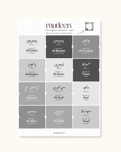Grey Qur'an tabs