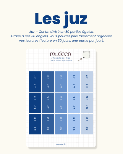 Blue Qur'an tabs