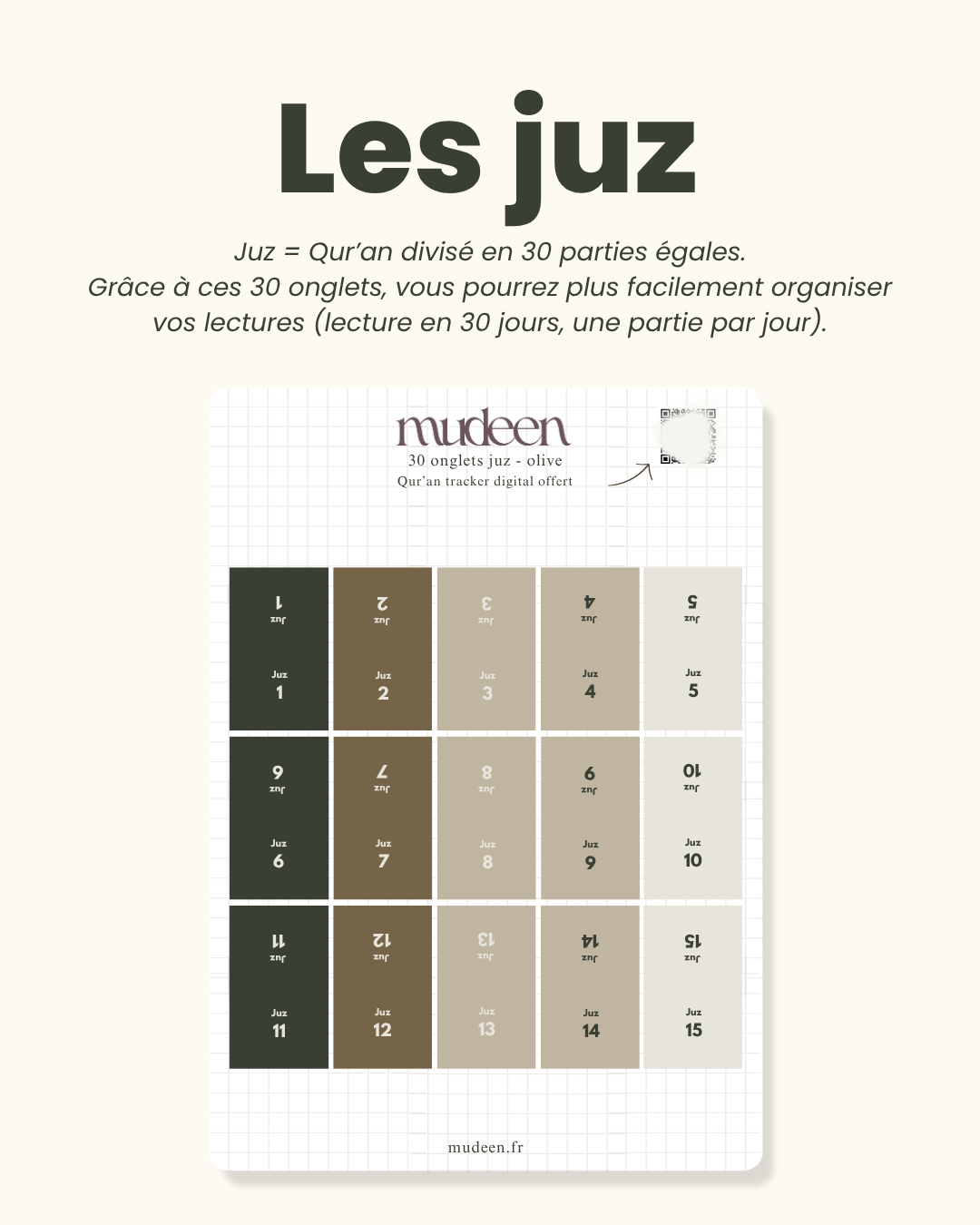 Olive Qur'an tabs