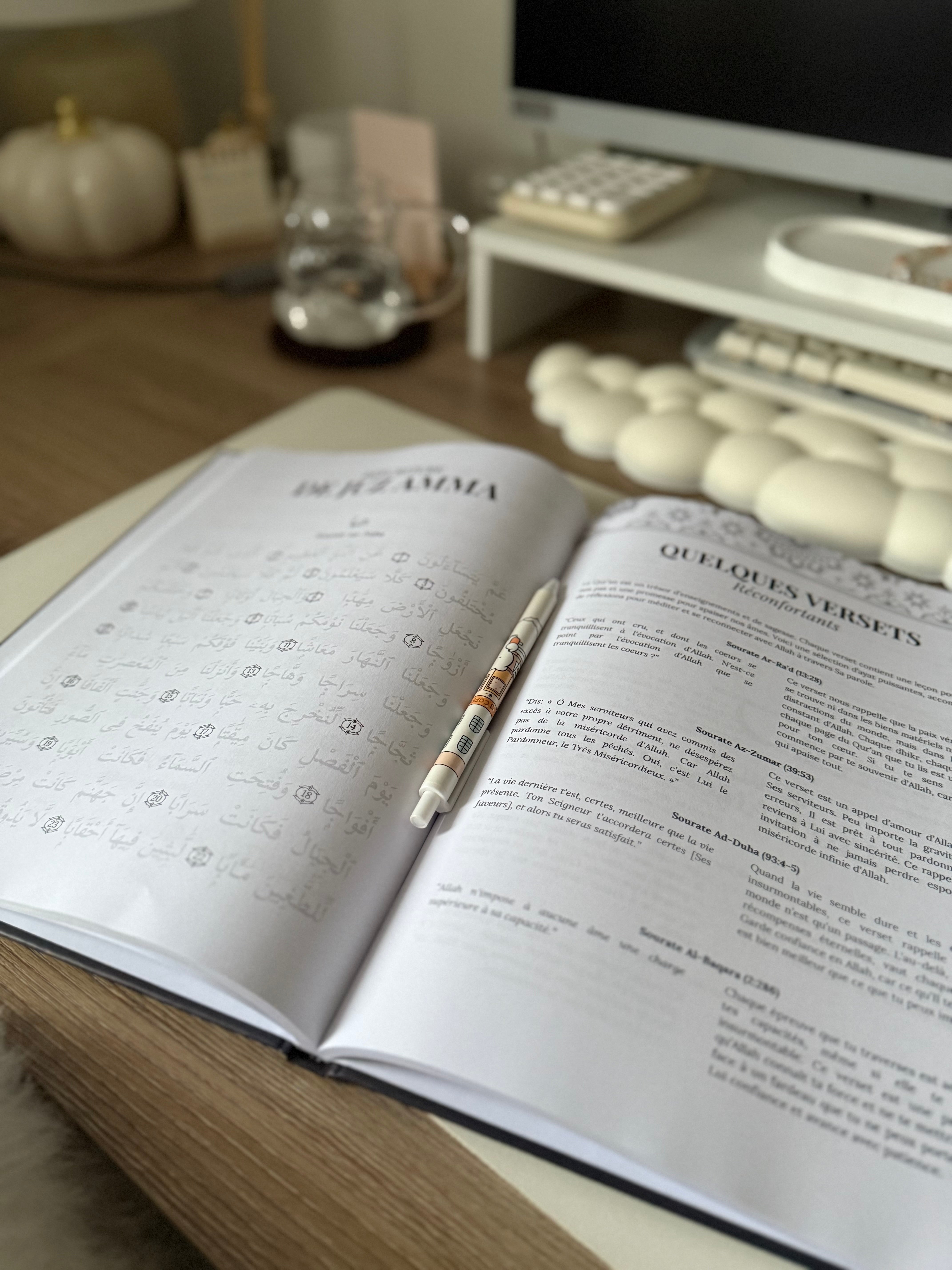 Ramadan planner sage